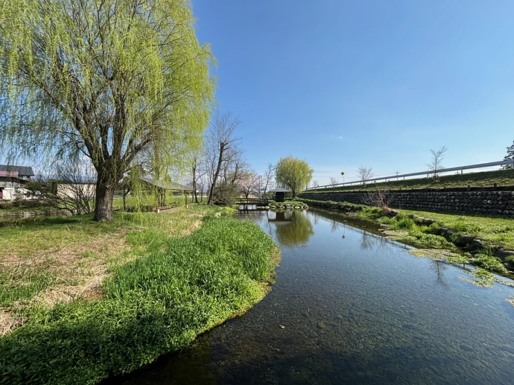 安曇野わさび田湧水群公園の憩いの池