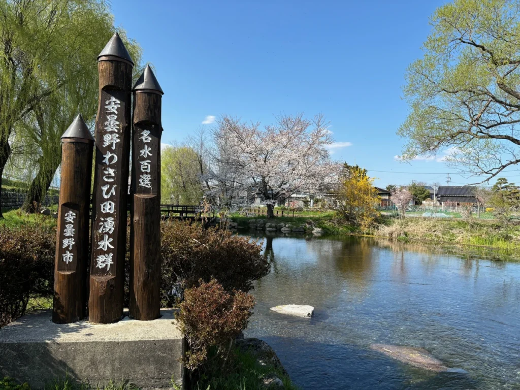 名水百選とある安曇野わさび田湧水群公園