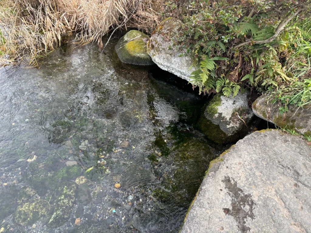 安曇野わさび田湧水群公園の湧水口