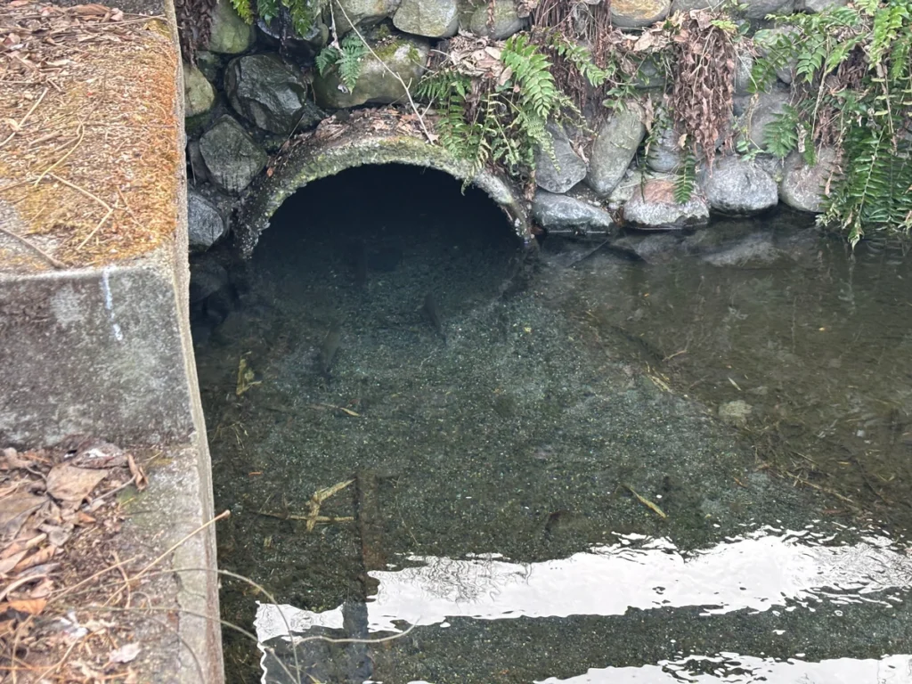 安曇野わさび田湧水群公園の外にあるオススメスポット