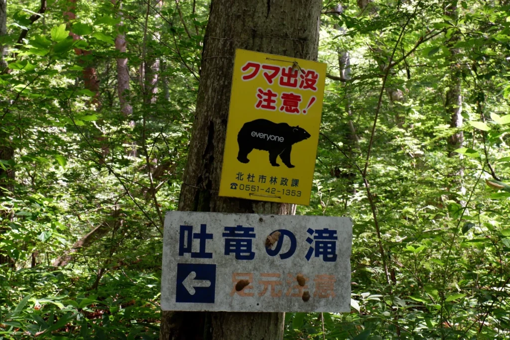 吐竜の滝の遊歩道