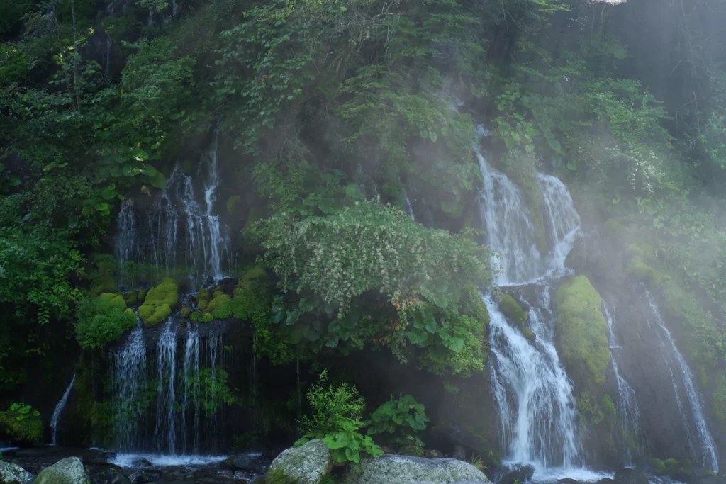 朝靄の中の吐竜の滝