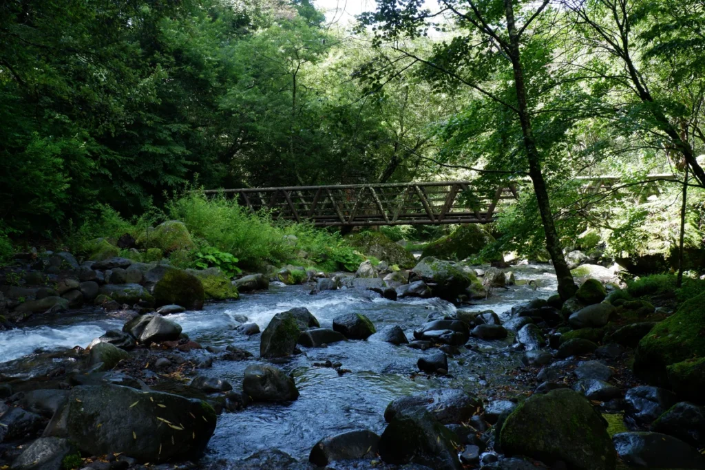 吐竜の滝へと続く橋