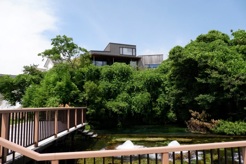 境川・清住緑地