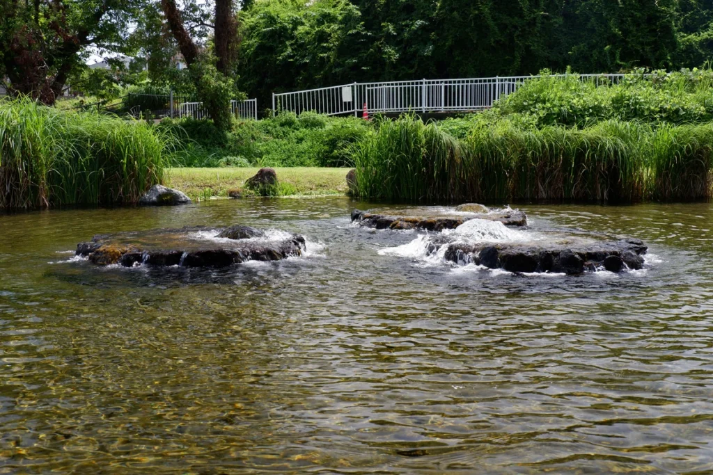 境川・清住緑地の湧水点