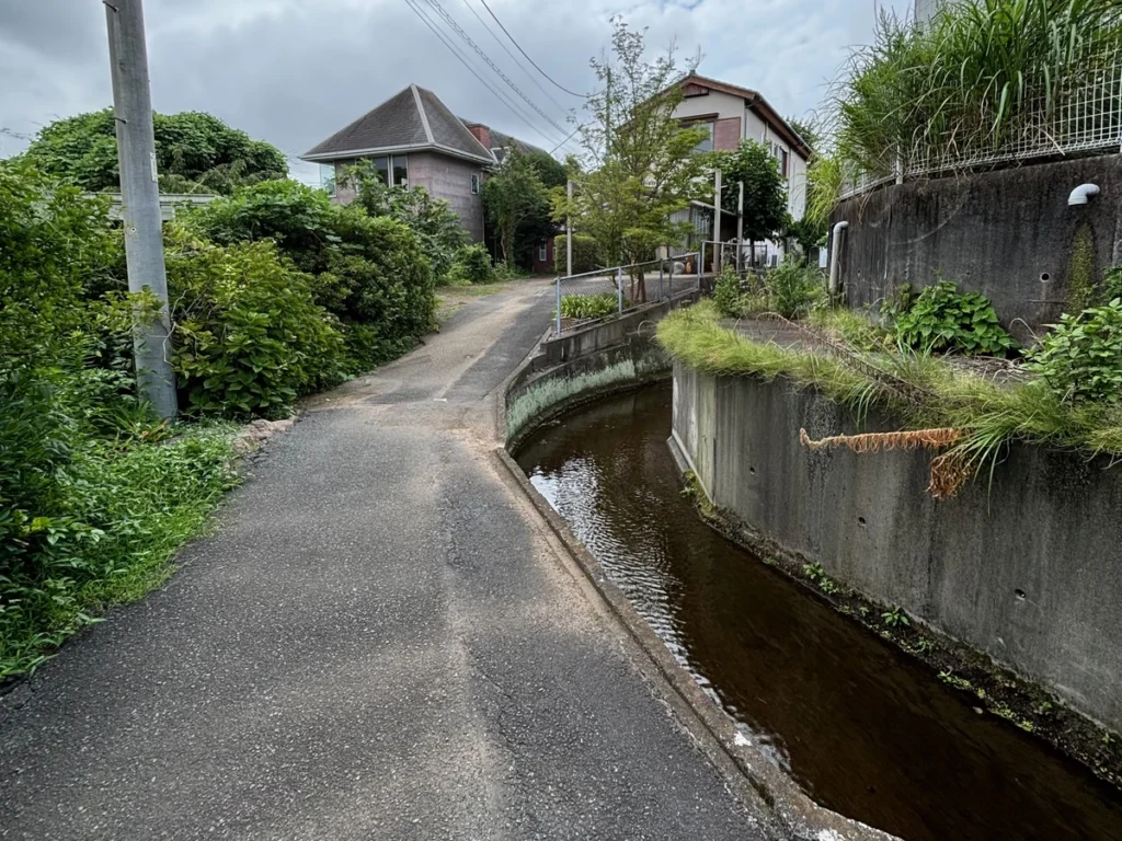 丸池公園駐車場に向かう一本道