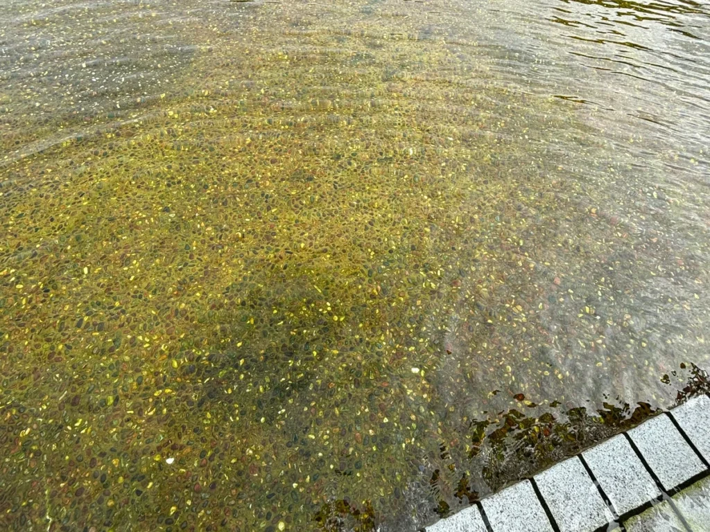 丸池公園駐車場の水遊び場