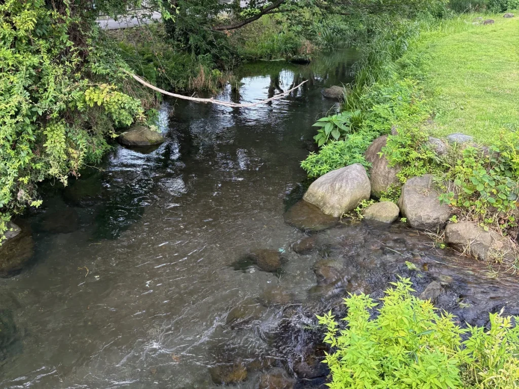 境川・清住緑地を流れる境川