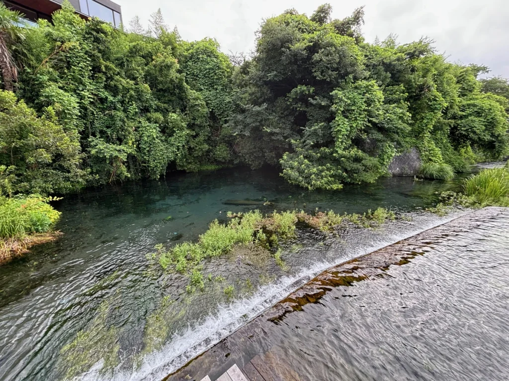 境川・清住緑地を流れる境川