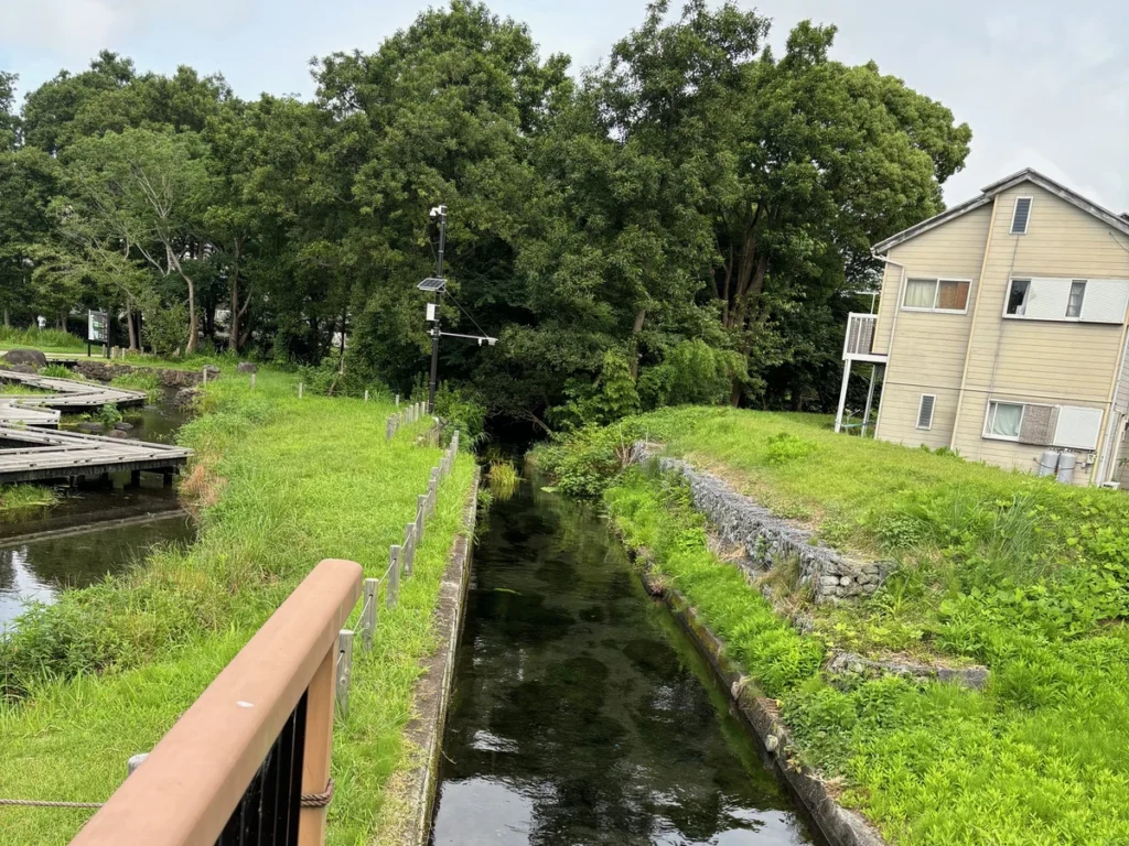 境川・清住緑地を流れる境川