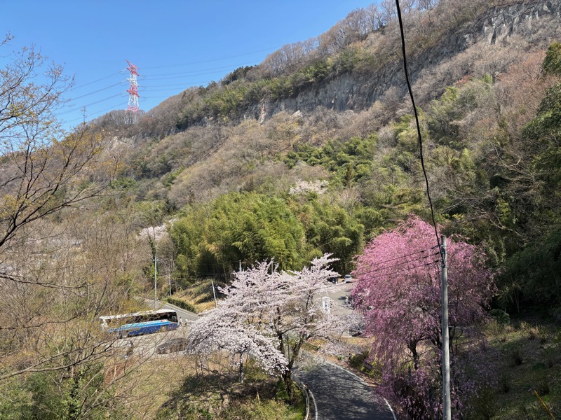 棚下地区の河岸段丘